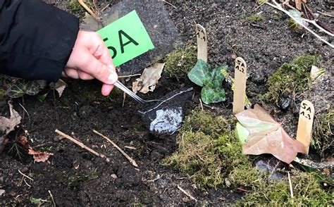 It's in our hands: Empowering the next generation to take the lead on