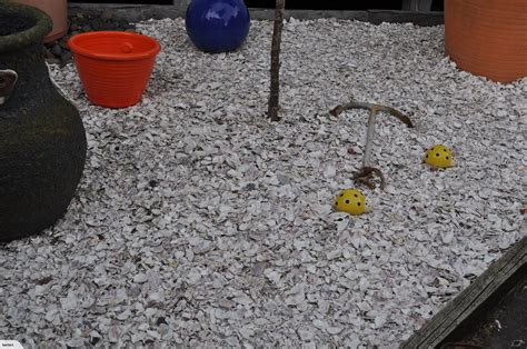 How to crushed oyster shells for garden. We have crushed oyster shell which is ideal for driveways ...