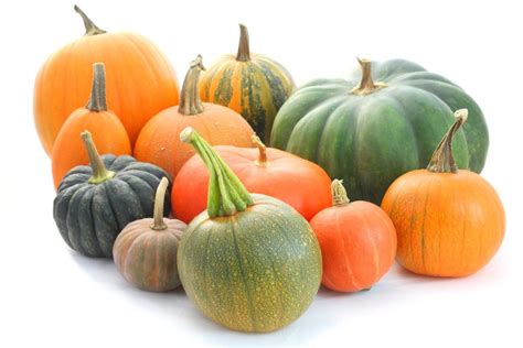 9 Heirloom Pumpkin Varieties We Love For Fall