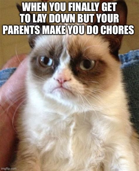 Grumpy Cat Meme Imgflip