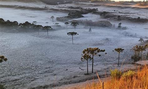 Esta semana será quase toda com pouco frio no sul do brasil. Frio provoca geada e novos recordes no Sul do BR | Climatempo