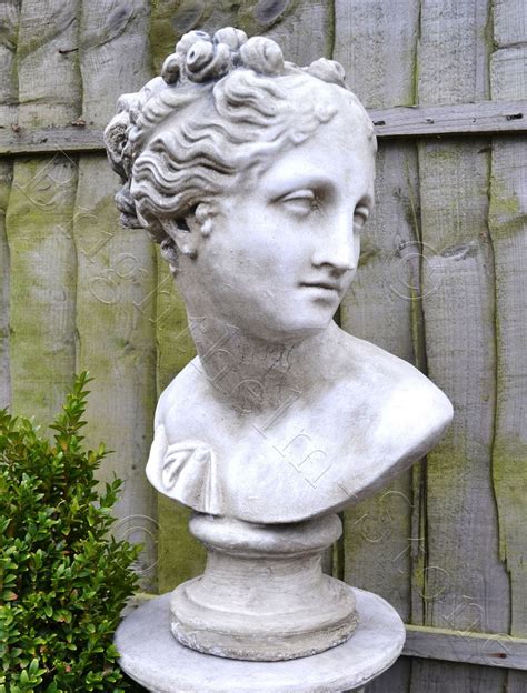 Aphrodite Venus Classical Greek Female Bust Statue