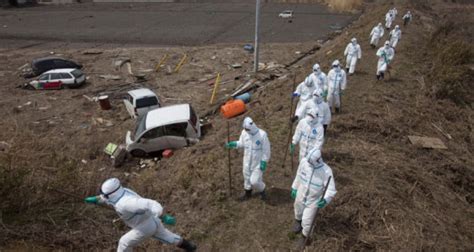 Is This Proof Fukushima Radiation Has Hit Us Mainland Off The Grid News