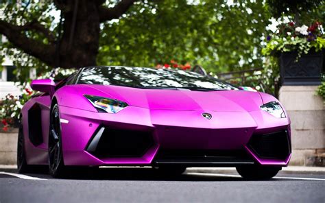 Pink Lamborghini Art Gallery Cultural Diplomacy Auto
