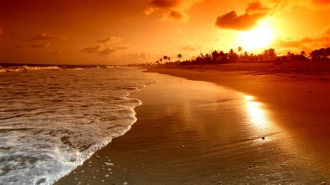 Sunrise Palms Sea Beautiful Nature Landscape Water Sky