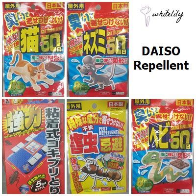 Buying guide for best cat repellents key considerations cat repellent features cat repellents cat repellents prices. 🔥 DAISO Cat/Rat/Snake/Ant/Cockroach Repellent Indoor ...