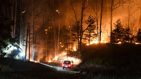 Brush Fire burns in Halls near Mynatt Road