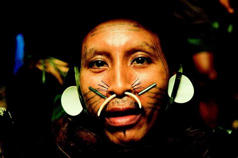 Matis Scot Kwini Marubo Amazon Tribe Tribe Brazil People