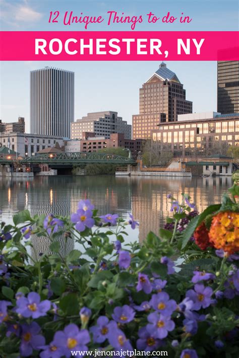 Professional ant control services on hirerush.com. Things to in rochester ny.