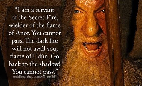 Here is our take on the istari's best lines from the. "I am a servant of the Secret of Anor. you cannot pass. The dark fire will not avail you, flame ...