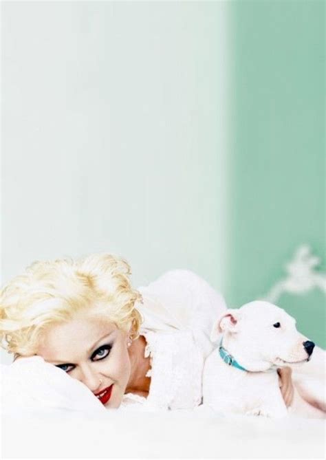 Pin By Leviatha9 On Madonna Madonna Celebrity Dogs Lady Madonna