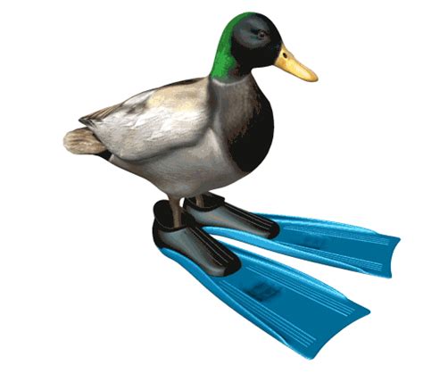 Pdf files retain the content, formatting and document information of source files and can be viewed on almost all operating systems, making pdf a proper you can also work with pdf files in a number of ways, including adding images to a pdf. 13 Duck Gifs - Gif Abyss