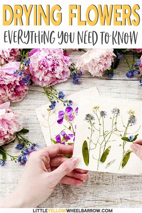 Preserve the delicate beauty of the flower garden by pressing your favorite blossoms and displaying them in frames. How to Dry Flowers - We Tested 5 Different Methods to Find ...