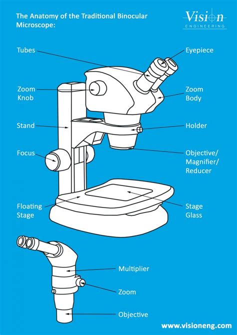 Binocular Microscope Diagram