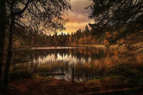 Forest Lake Landscape Hd Nature 4k Wallpapers Images