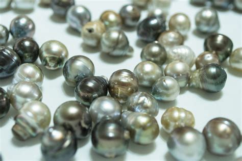 Historically, most black pearls came from tahiti, and they are therefore known as tahitian black pearls. Fiji Pearls & Giant Clam Snorkel Tour