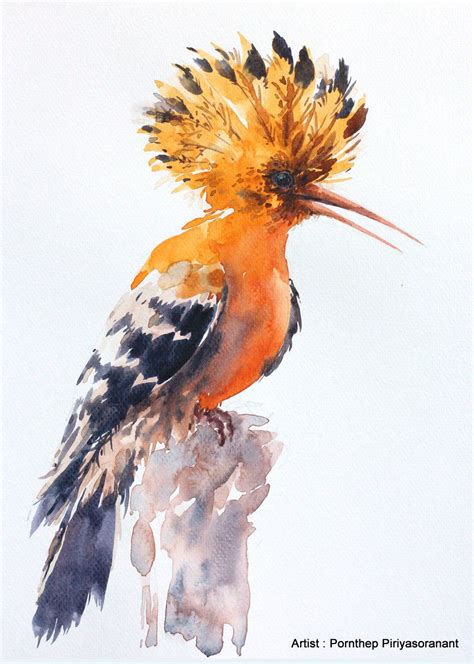Hoopoe Bird Painting Bird Watercolor Painting Bird Art Watercolor