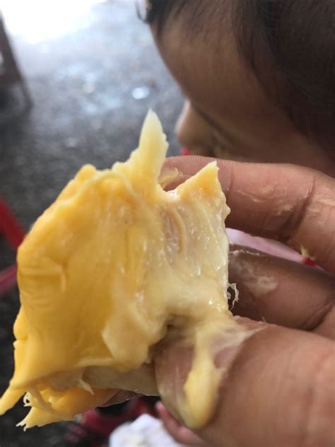 Kedai komputer kepala batas alor setar. Tempat Makan Durian di Alor Setar Kedah ~ Kereta Sewa Alor ...