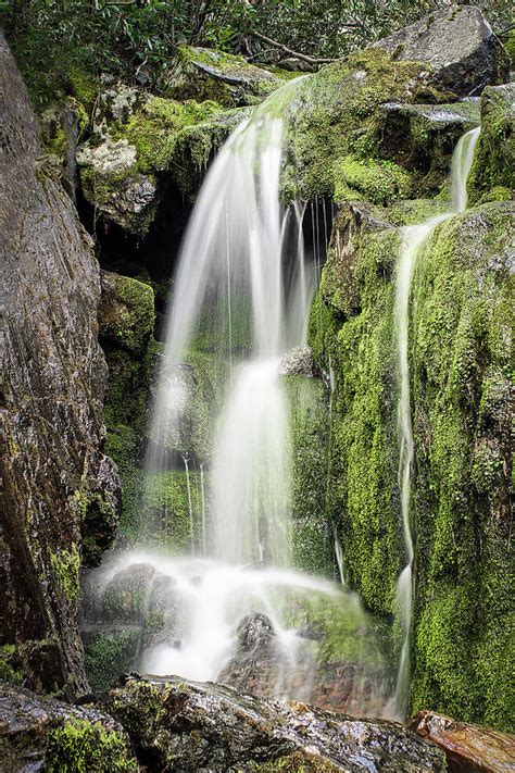 Waterfall And Moss Photograph By Gary Geddes Fine Art America