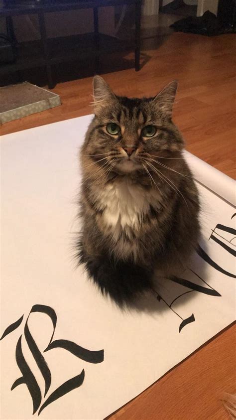 The day my sister called to tell me my father died, i dropped my plans. My best friend Donna. She passed away on Friday and I miss ...