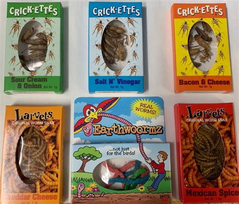 Do Chocolate Covered Crickets Taste Good Vending Business Machine