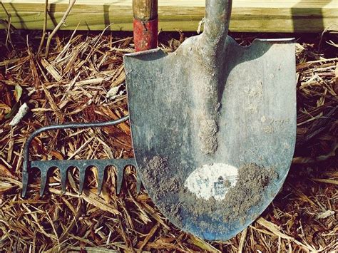 List Of 10 Tools For Digging In Rocky Soil