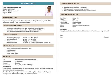 Page Resume Template Free Download In Word