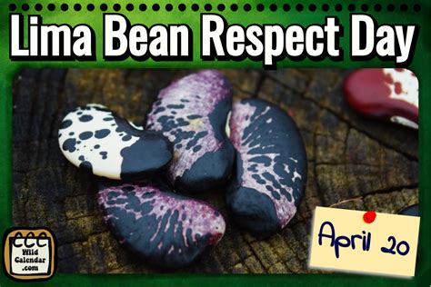 Lima Bean Respect Day Lima Bean Beans Lima