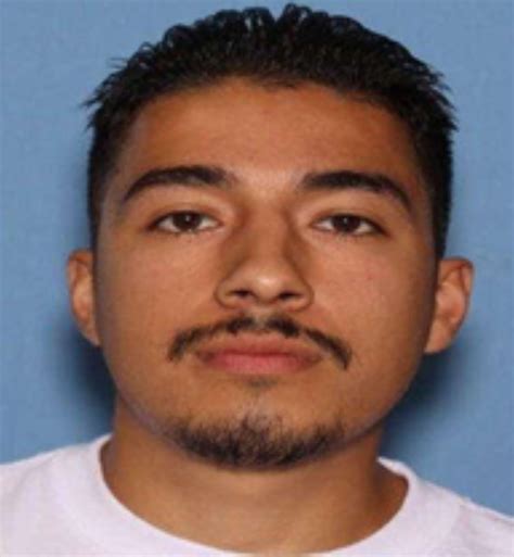 More details released about arrested Ferndale homicide suspect