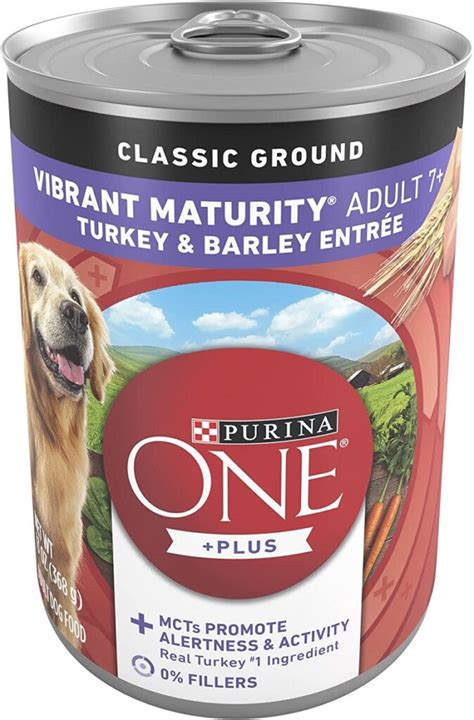 What Is A Good Soft Dog Food For Older Dogs