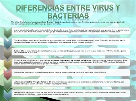 Diferencias Entre Virus Y Bacterias Cuadro Comparativo Cuadro