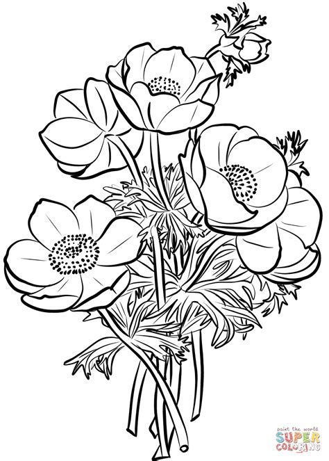 This is bouquet of flowers coloring pages image. Poppies Bouquet coloring page | Free Printable Coloring ...