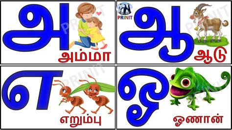 உயிர்எழுத்துக்கள்அ ஆ இ ஈ Learn Tamil Alphabets Litters