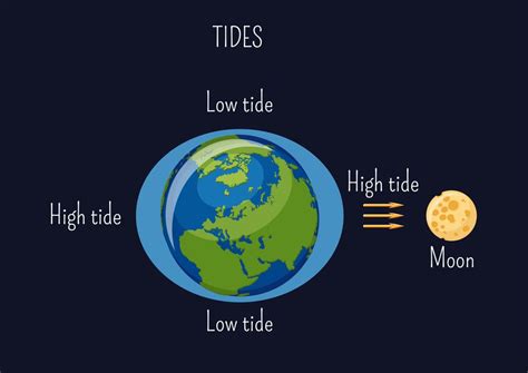 Tides Where Does The Water Go When The Tides Go Out Tiger Marine