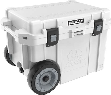 Maybe you would like to learn more about one of these? How to Use Dry Ice in a Cooler: Handling, Positioning ...