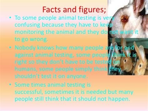 Animal Testing 11jyabsley