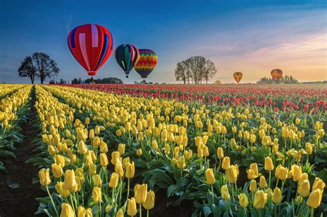 Holland sea of flowers hot air balloon. 10 Most Beautiful Places in Oregon Every Nature Lover ...