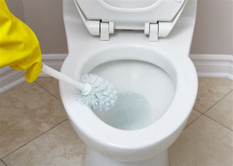Mold In Toilet How To Remove Mold In Toilet