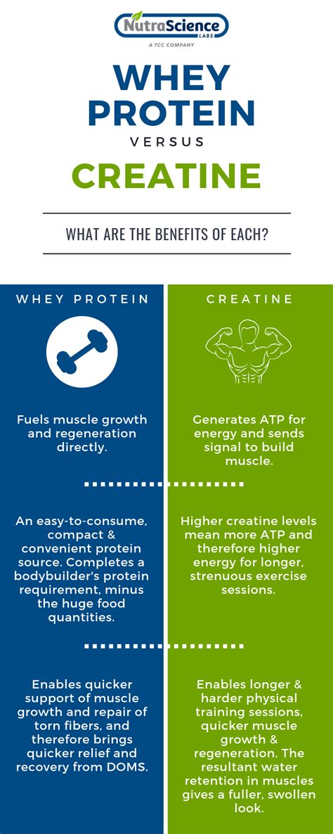 Is Creatine A Protein Supplement We Are Eaton