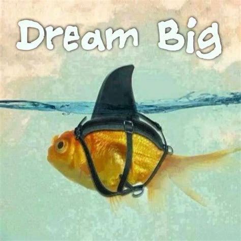 dream big