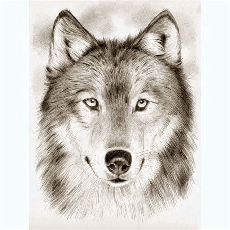 Maybe you would like to learn more about one of these? Kleurplaat Wilde Dieren Moeilijk
