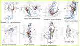 Pictures of The Best Tricep Exercises