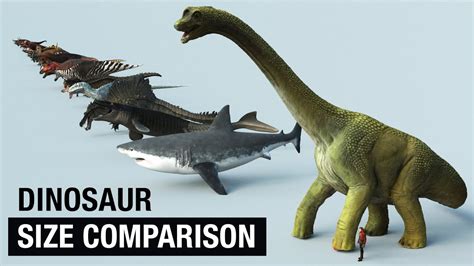 Dinosaurs And Prehistoric Animals Size Comparison In 3d Youtube