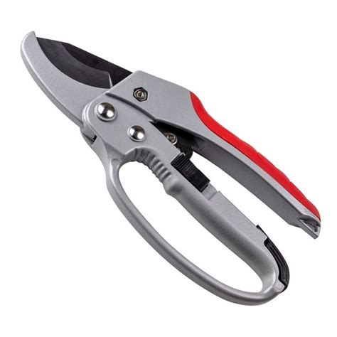 Garden Tree Branch Trimming Shears Trainedtools In Pruning