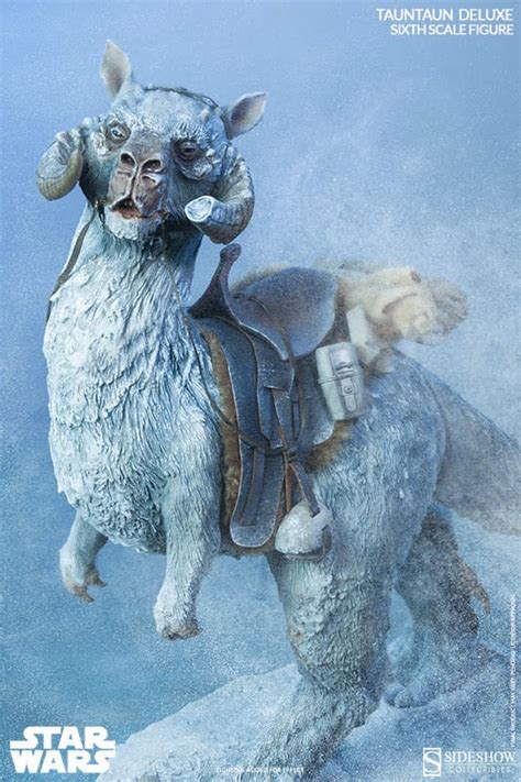 Onesixthscalepictures Sideshow Collectibles Star Wars Deluxe Tauntaun