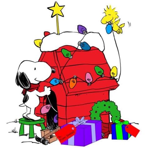 Pin By Deidre Mercer On Peanuts Snoopy Christmas Snoopy Love