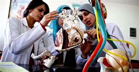 Kelayakan spm untuk menjadi doktor psikologi. 5 Kampus Favorit dengan Program Doktor untuk Jurusan ...