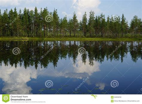 Landscape Forest Lake With Reflection Of Clouds In The Sky