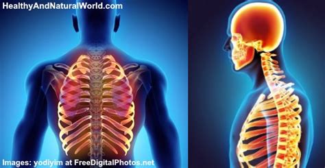 Back And Rib Pain Causes Of Upper To Middle Back And Rib Pain