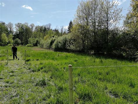 K lein garten gesetz kleingärten waren, vor allem nach dem kriegsende 1945 bis märz 1950, für viele menschen in unserem land oftmals die einzige möglichkeit frisches gemüse und obst anzupflanzen das sonst nur noch auf dem schwarzmarkt oder über. Grundstück / Land in Uferweg - Garten in Fürstenfeld zu ...